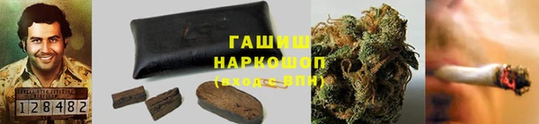 PSILOCYBIN Алзамай