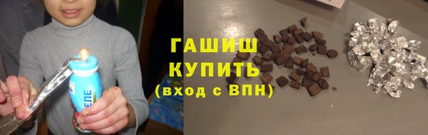 PSILOCYBIN Алзамай