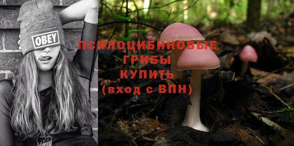 PSILOCYBIN Алзамай