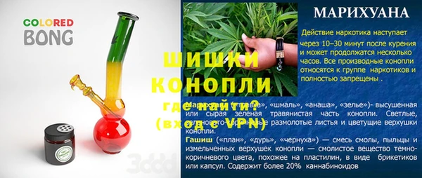 PSILOCYBIN Алзамай