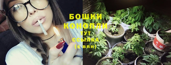 PSILOCYBIN Алзамай