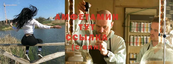 PSILOCYBIN Алзамай