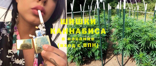 PSILOCYBIN Алзамай