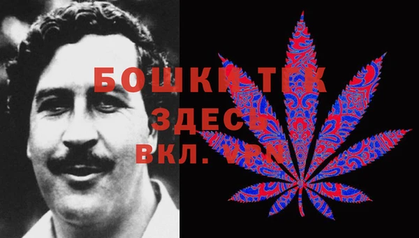 PSILOCYBIN Алзамай